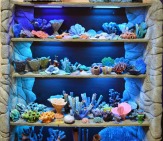 Декорации для Вашего аквариума